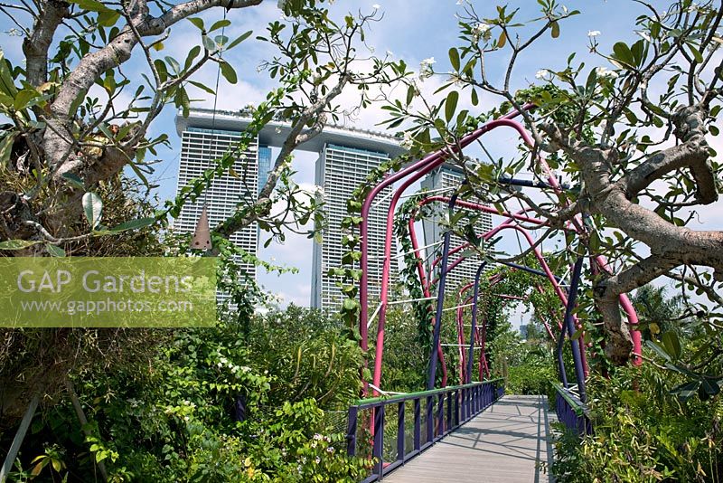 Pont entre le jardin colonial et le jardin malais - Heritage Gardens avec l'hôtel Marina Bay Sands en arrière-plan, Gardens by the Bay, Singapour