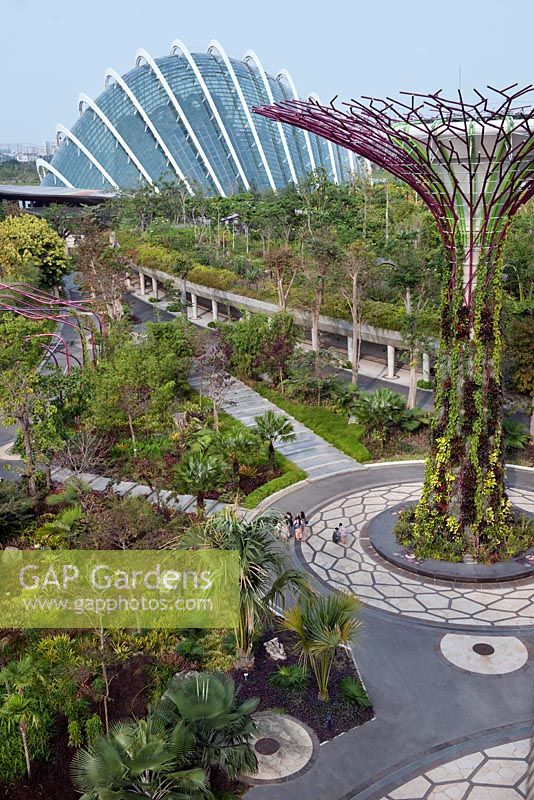 Le Supertree Grove et Cloud Forest, Gardens by the Bay, Singapour