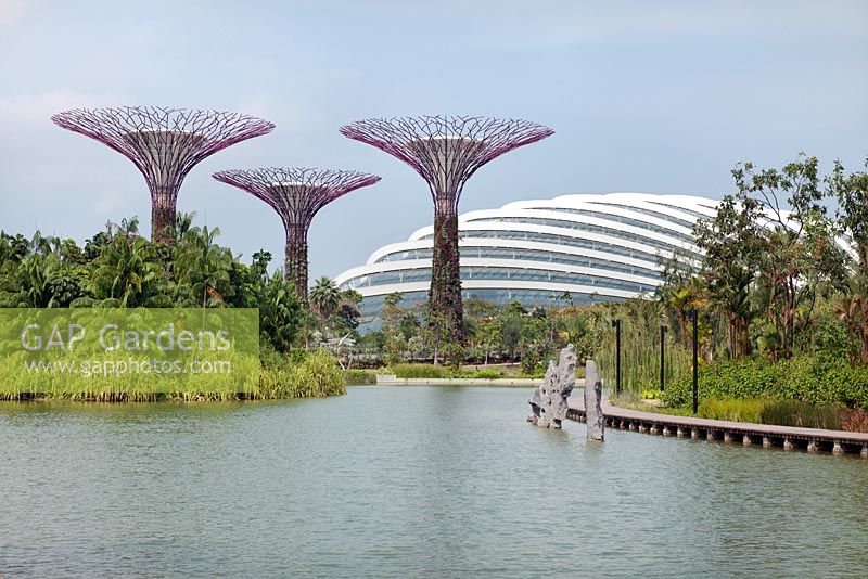 Supertrees et le Flower Dome par le Silver Garden, Gardens by the Bay, Singapour