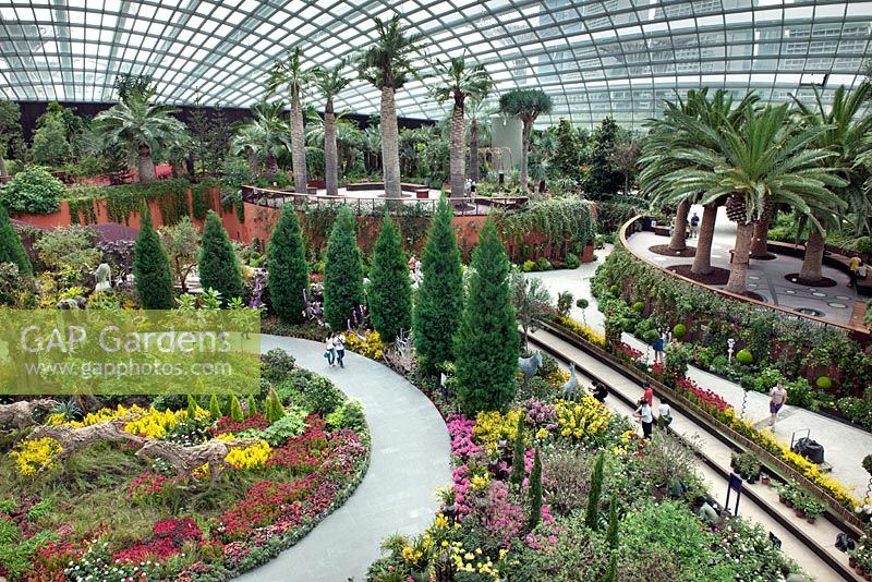 Le jardin méditerranéen dans le Flower Dome, Gardens by the Bay, Singapour