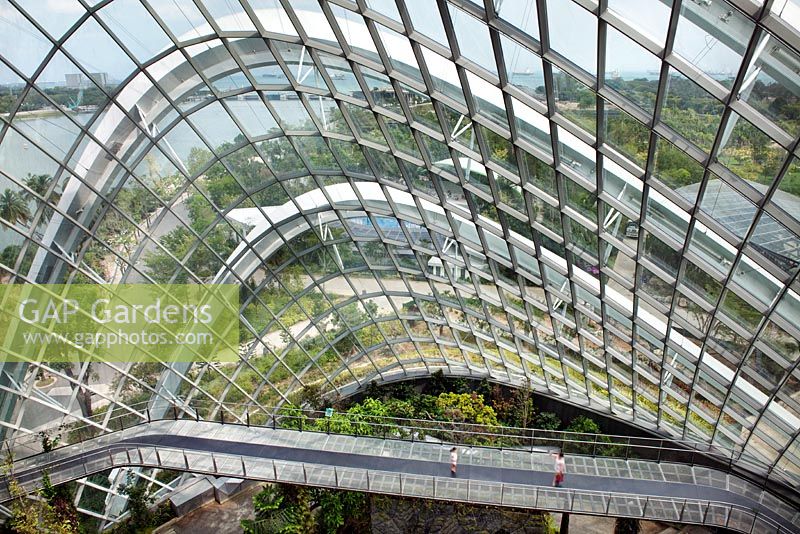Vue à travers la verrière de la forêt de nuages, Gardens by the Bay, Singapour