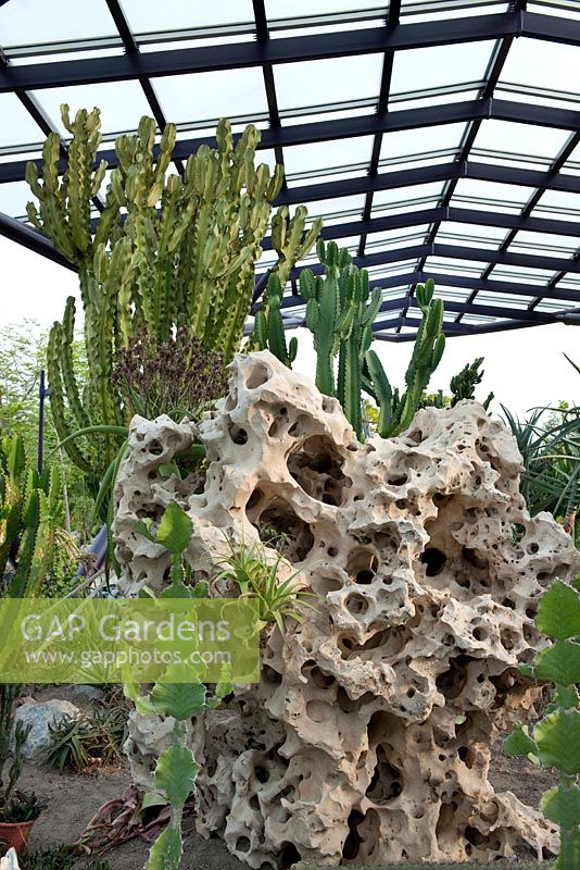 Le nouveau jardin de cactus à Gardens by the Bay, Singapour