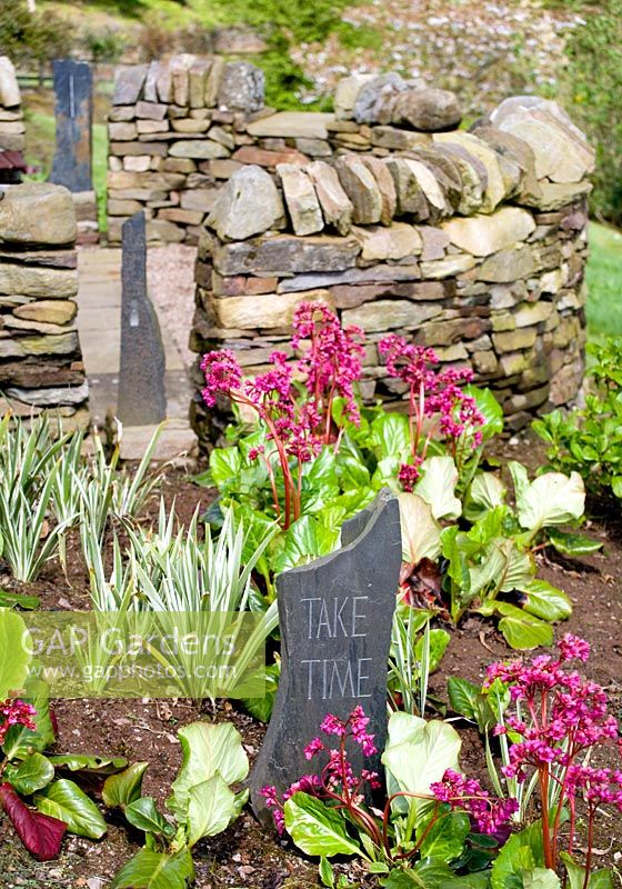 'Cadran solaire' en pierre avec ardoises gravées plantées de bergénie et d'iris panaché