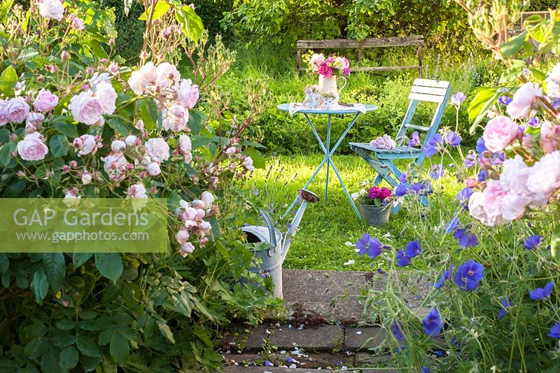Roses en pot sur table dans le jardin du chalet