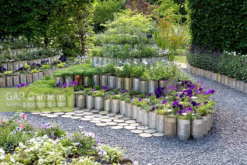 Titre: Mis en Boite. Des centaines de boîtes de conserve empilées et construites en parterres de fleurs. Tous remplis de plantes et d'herbes - Campanula, Lavandula, Origanum