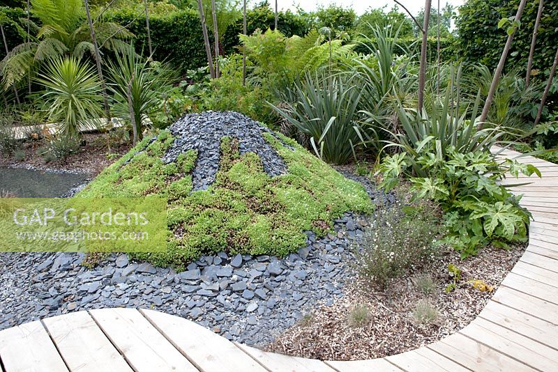 Titre: Pour L Amour de Tongariro. Jardin avec chemin en bois passant plusieurs volcans plantés de sedums et recouverts d'ardoises noires cassées.