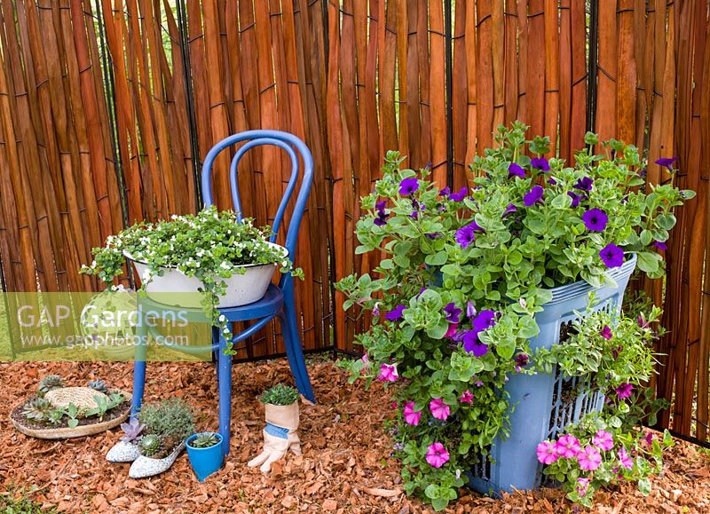 Pétunias et annuelles dans des pots insolites