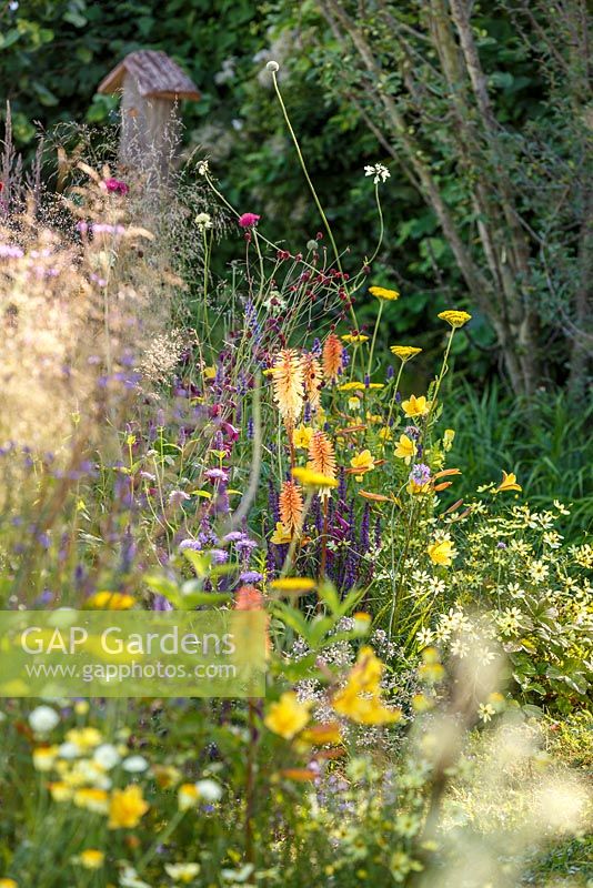 Herbes et plantes vivaces naturalistes, y compris Ammi majus, Hemerocallis, Helenium et Kniphofia - Le Jordans Wildlife Garden, RHS Hampton Court Flower Show 2014