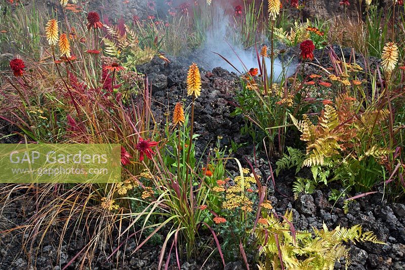La plantation comprend Kniphofia 'Tetbury Torch', Achillea 'Walter Funke' et Achillea 'Terracotta' avec de la fumée, de la lave et des cendres sur le thème du volcan - Eruption of Unhealed Anger, RHS Hampton Court Flower Show 2014