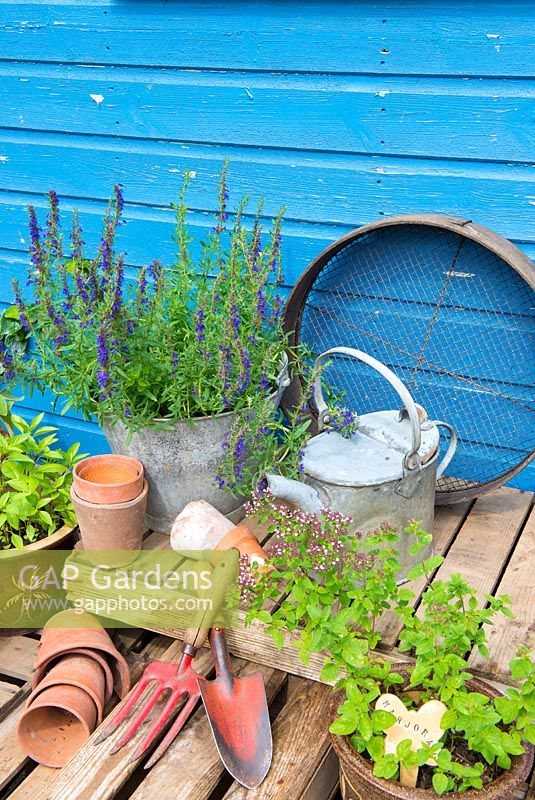 Coin de jardin avec des pots d'hysope et de majoram, avec des arrosoirs anciens et des articles de jardinage traditionnels.