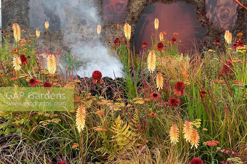 Jardin conceptuel Colère Éruption de la colère non cicatrisée plantation rouge et orange de Kniphofia et d'échinacée avec des herbes. Vapeur d'eau représentant de la fumée mugissant du volcan de colère. Concepteur: Nilufer Danis Gold award