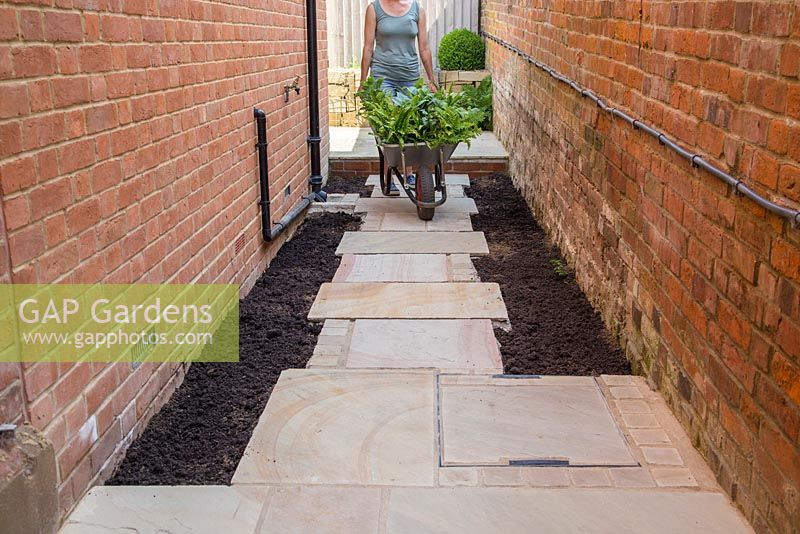 Femme apportant une brouette de plantes nouvellement achetées, dont Hosta 'June', Epimedium x warleyense 'Orangekonigin', Asarum europaeum, Dryopteris affinis Crispa Group, Hosta 'Fragrant Blue', Brunnera macrophylla 'Jack Frost', Asplenium scolopendrium 'Angustatum '.