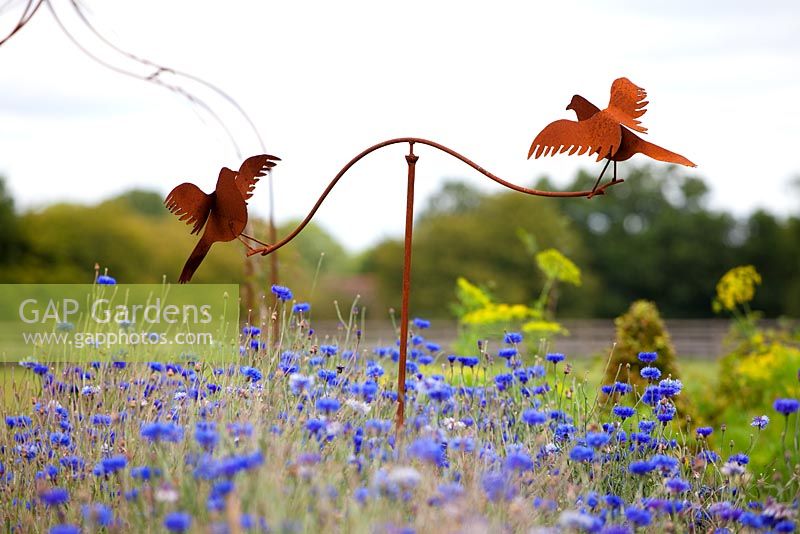 Oiseaux sculpturaux en métal rouillé au-dessus des bleuets massés - Centaurea cyanus