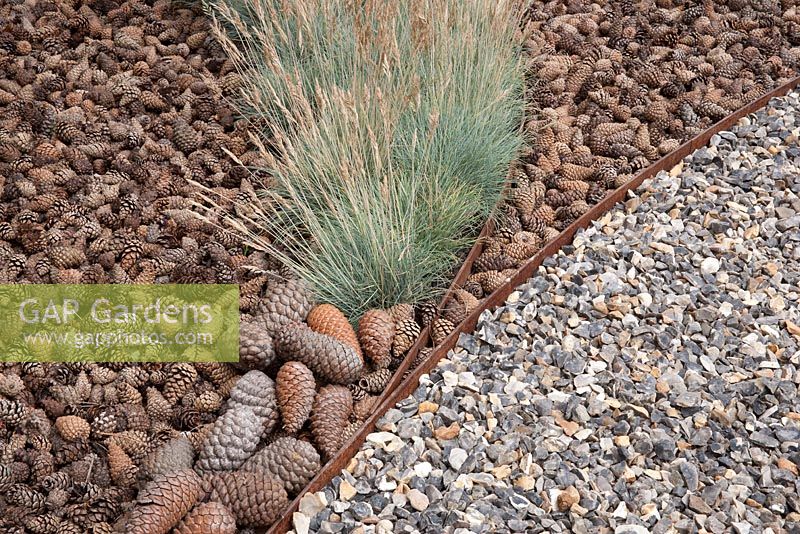 The Flintknapper's Garden - A Story of Thetford - view of mulch pine cones and gravel path with planting of Festuca glauca Blaufuchs - Designer - Luke Heydon - Sponsor - Thetford business
