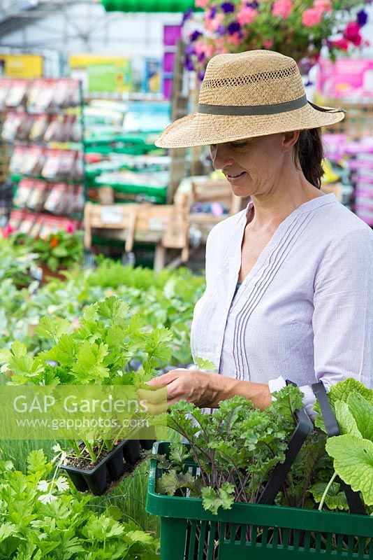 Femme parcourant les plantes à vendre dans un centre de jardinage. Céleri 'Victoria'