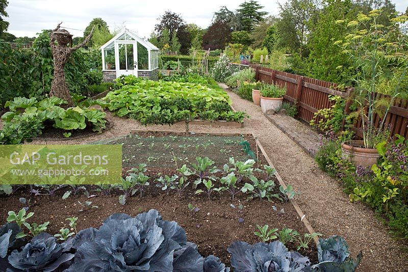 Potager avec des rangées soignées de chemins de gravier de légumes et saule figure à Trentham Gardens, Staffordshire