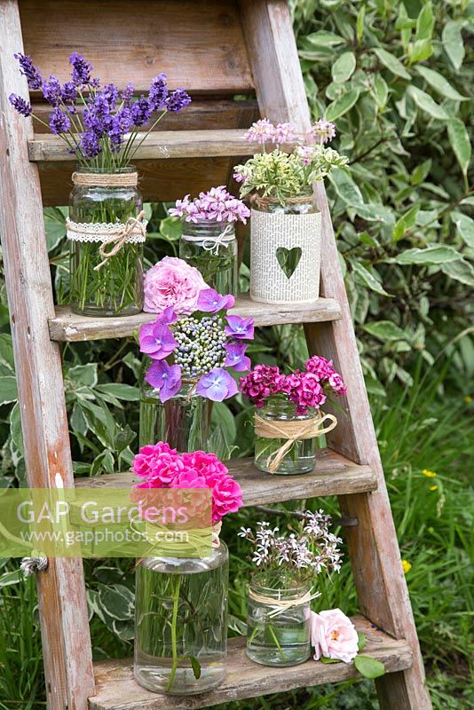Affichage floral d'hortensias, Lavandula, Pelargoniums parfumés, Dianthus barbatus et Roses sur une échelle en bois