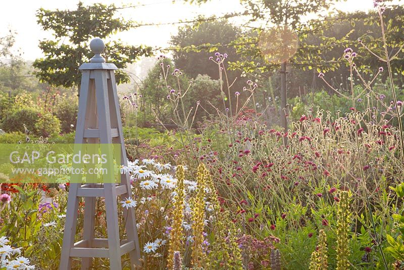 Verveine, Helenium et Knautia macedonica autour de l'obélisque décoratif en parterre de fleurs d'été