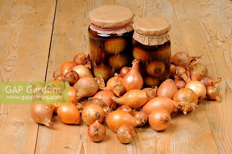 Deux pots d'oignons marinés faits maison, entourés d'oignons marinés sur une table de cuisine rustique