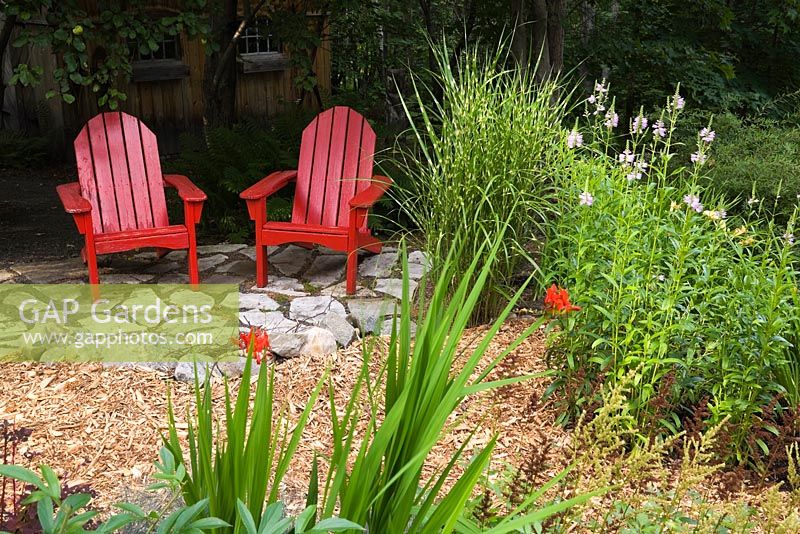 Deux chaises Adirondack en bois rouge sur un patio en dalles à côté de Miscanthus sinensis 'Strictus' - Herbe zébrée, floraison rose Physotegia virginiana - Plante obéissante, Crocosmia montbretia rouge 'Lucifer'