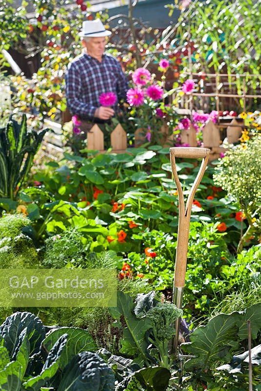 Poignée de fourche de jardin dans le potager avec jardinier derrière.