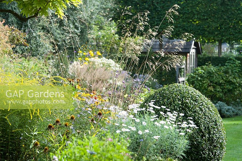 Détail du jardin de la ville à la fin de l'été avec Solidago rugosa 'Fireworks', Aster frikartii 'Monch', Rudbeckia fulgida var. deamii, Stipa gigantea, marguerites de Michealmas et Heleniums. Les plantes de fond comprennent Rudbeckia lacianata 'Herbstonne', Aster umbellatus, Verbena bonariensis et Aster cordifolius.