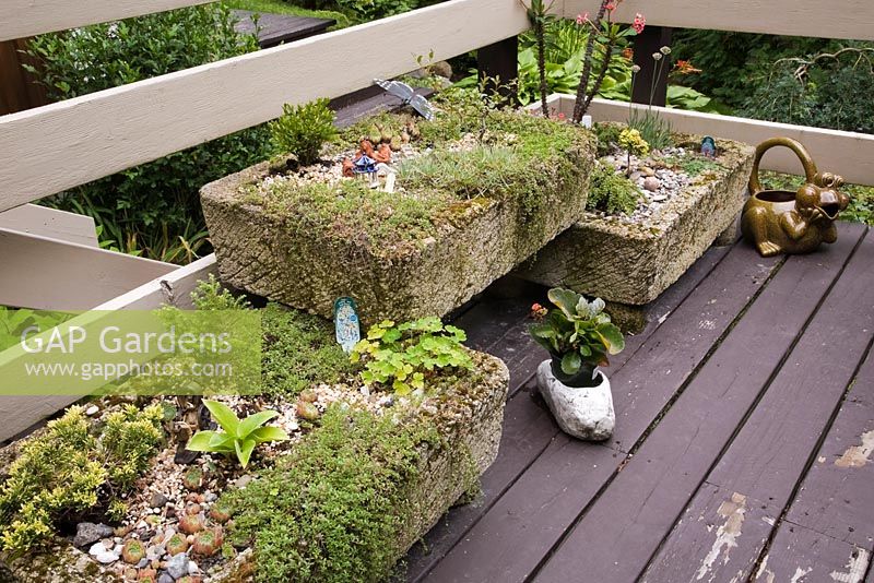 Terrasse en bois brun terrasse en bois et jardinières en béton avec echeveria - plantes succulentes en été