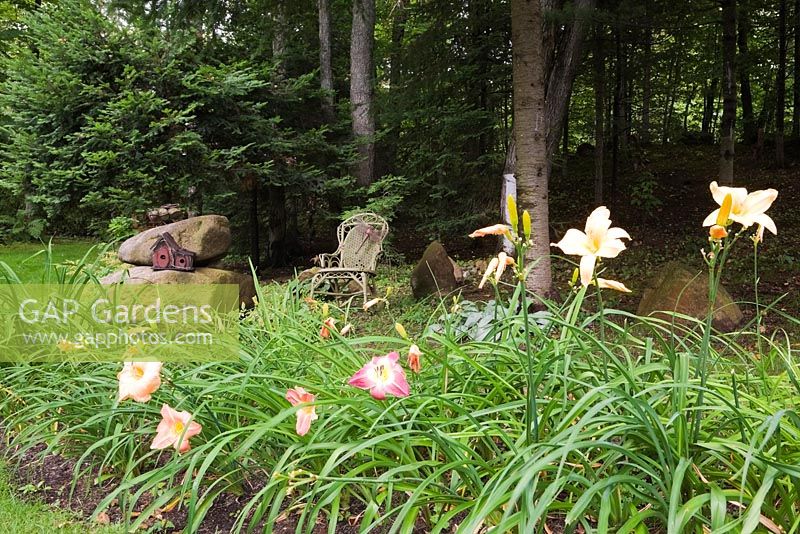 Hemerocallis - hémérocalles, un nichoir en céramique sur des rochers empilés et un fauteuil à bascule en osier de couleur kaki en été
