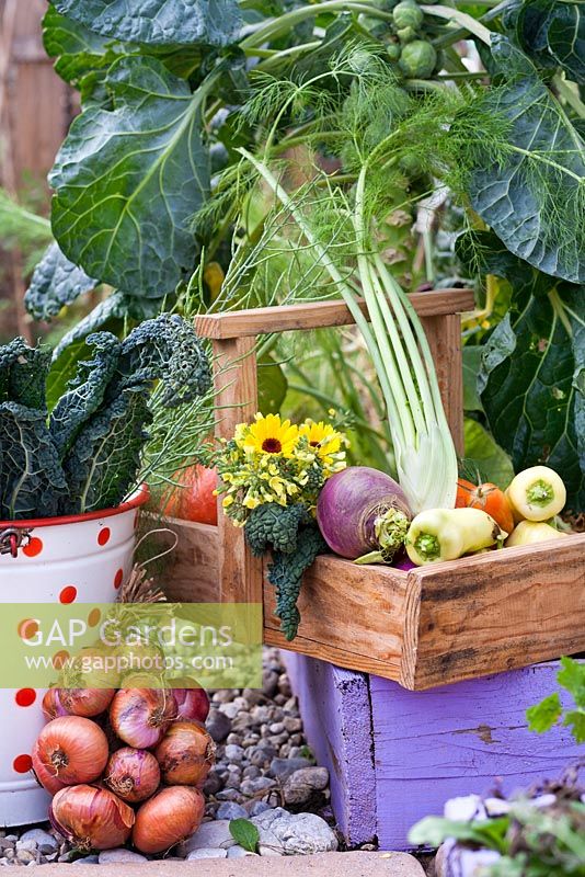 Affichage de légumes cultivés à la maison.