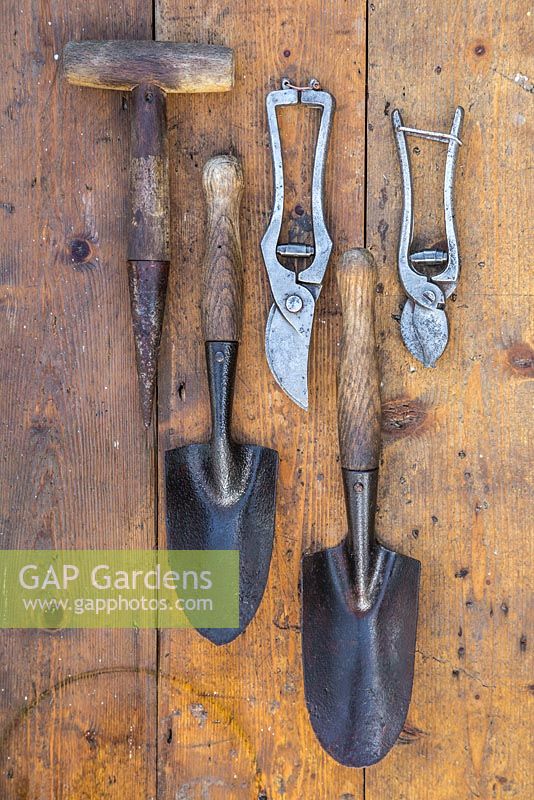 Collection d'outils de jardin vintage sur une surface en bois. Sécateur, dibber de semence et truelles à main