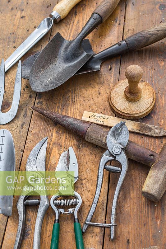 Collection d'outils de jardin vintage sur une surface en bois. Truelles à main, pilper, sécateur, élargisseur et dibber de semences.