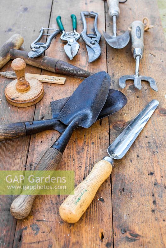 Collection d'outils de jardin vintage sur une surface en bois. Widger, truelles à main, pilper le pot, dibber de graine, fourchette et sécateur