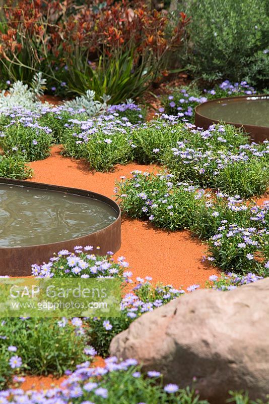 La plantation de parterre de fleurs de Brachys vient parmi les blocs de rochers et les plans d'eau. Jardin: Essence d'Australie. RHS Hampton Flower Show 2014