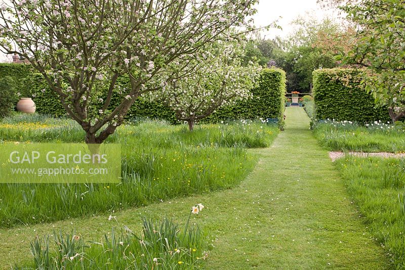 Chemin formel à travers un jardin de printemps sauvage avec des narcisses 'géranium', des renoncules et des fleurs