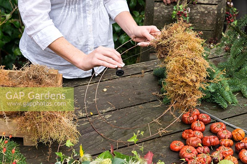 Femme faisant une couronne de Noël à l'aide d'un cadre de guirlande métallique de 40 cm, de mousse de sphaigne, d'épinette, de citrouilles séchées, de cynorhodons et de ruban.