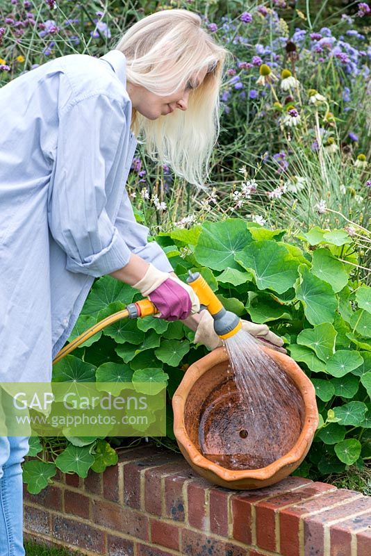 Planter le pot en fin d'été pas à pas: Nettoyez le pot.