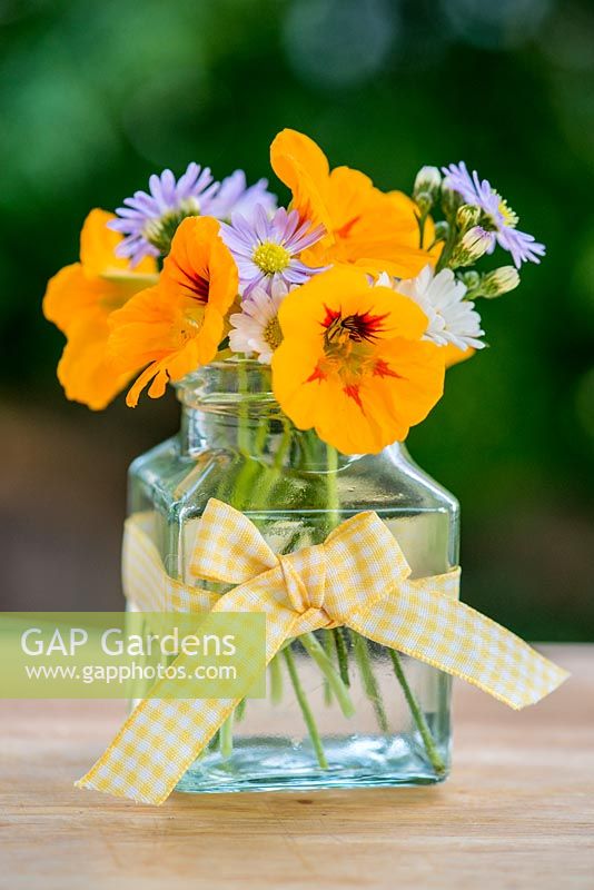 Un bouquet d'été de fleurs de jardin de tous les jours - Capucine, Aster et Anthemis dans un bocal en verre décoré de ruban vichy jaune.