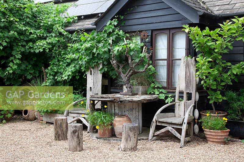 Maison contemporaine recouverte de vigne - Vitis vinifera, trônes en bois flotté fabriqués par The Yurt Shop à Battle, sièges de souche d'arbre et table d'enrouleur de câble, avec candélabre de branche d'arbre.
