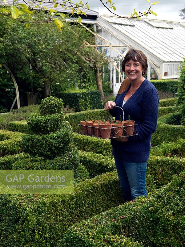 Louise Elliot, jardinière en chef à Bignor Park, debout dans le parterre avec un panier de boutures semi-mûres prises en automne.