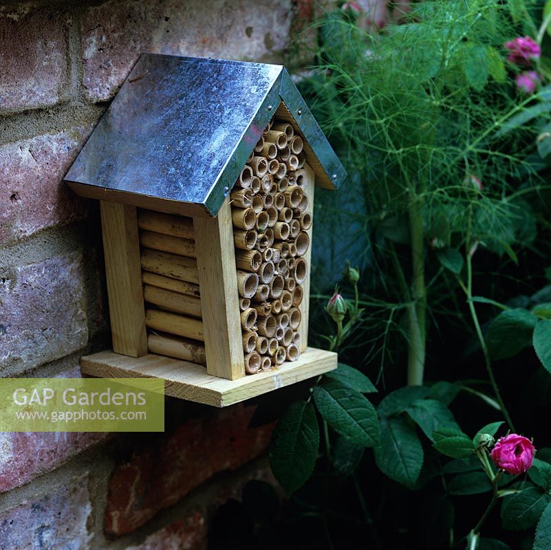 Une boîte remplie de cannes courtes offre un abri aux abeilles.