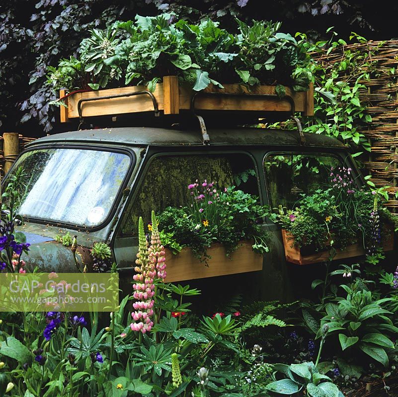 La mini-voiture déclassée a des légumes qui poussent sur son toit et des jardinières remplies d'herbes. Chelsea 2003.