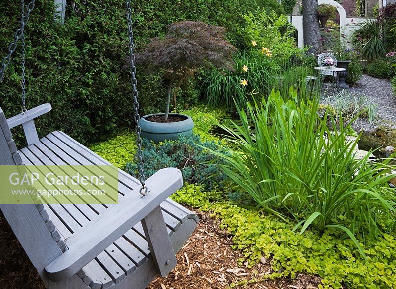 Banc de balançoire en bois gris à côté d'un étang avec Typha latifolia - Quenouilles et Acer palmatum - Érable du Japon dans le jardin en été, Jardin Secret Garden, Québec, Canada