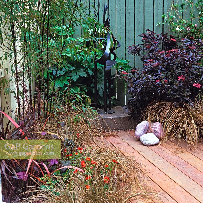 Terrasse en bois bordée de sureau violet, phormium et heuchera, bambou noir, Carex comans Bronze.