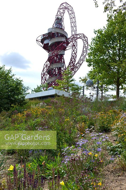 L'orbite d'Arcelormittal conçue par Anish Kapoor et Cecil Balmond avec la plantation de plantes vivaces et d'herbes de fin d'été dans le Queen Elizabeth Olympic Park, Londres