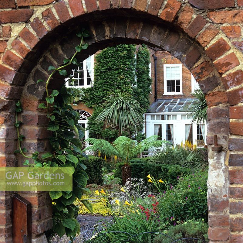 La porte dans le mur de briques géorgiennes donne un aperçu du jardin de la ville avec penstemon, géranium, fougères arborescentes, Jenny rampante, cordyline, palmier, lis du jour doré et ligularia.
