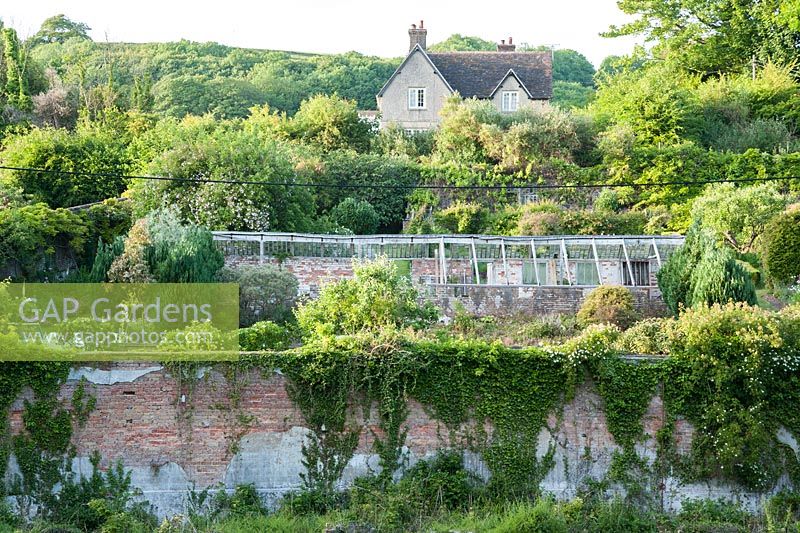 Vue du jardin clos d'en bas montrant la pente raide qu'il occupe. Jardins clos de Littlebredy, Littlebredy, Dorset