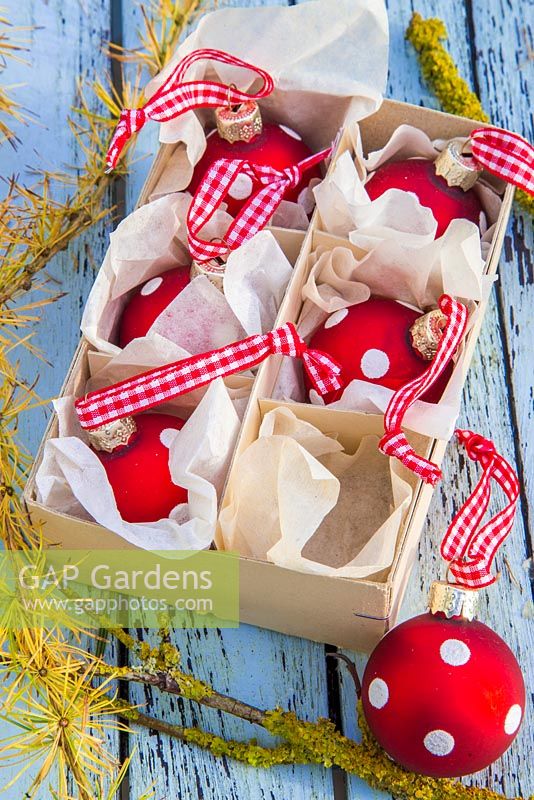 Boules à pois rouges dans un emballage en carton, avec un feuillage de mélèze