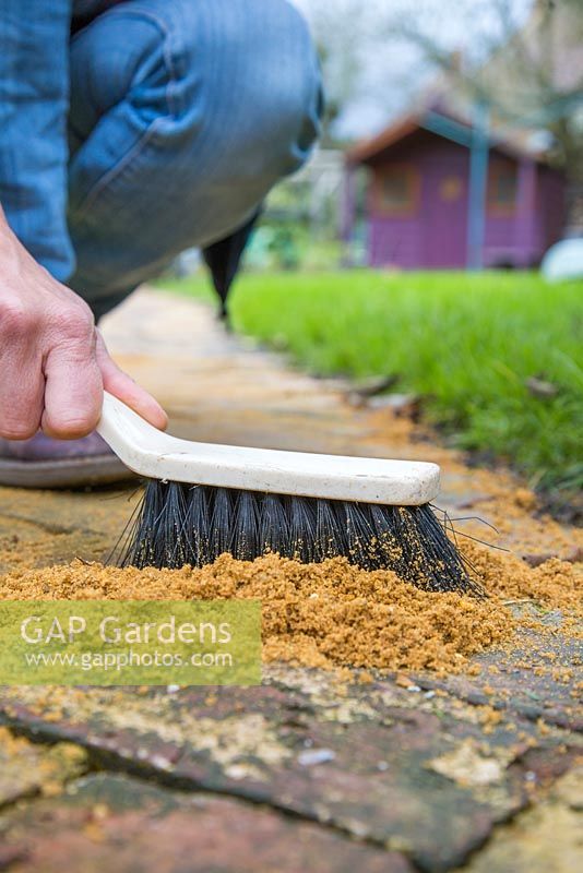 À l'aide d'une brosse à main, brossez doucement et remplissez les fissures entre les briques avec du sable à gros grains.