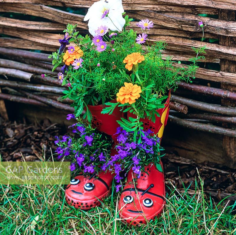 Paire de bottes Wellington pour enfants utilisées comme cache-pot amusant, plantées de lobelia, de souci français, de pétunia et de brachyscome.