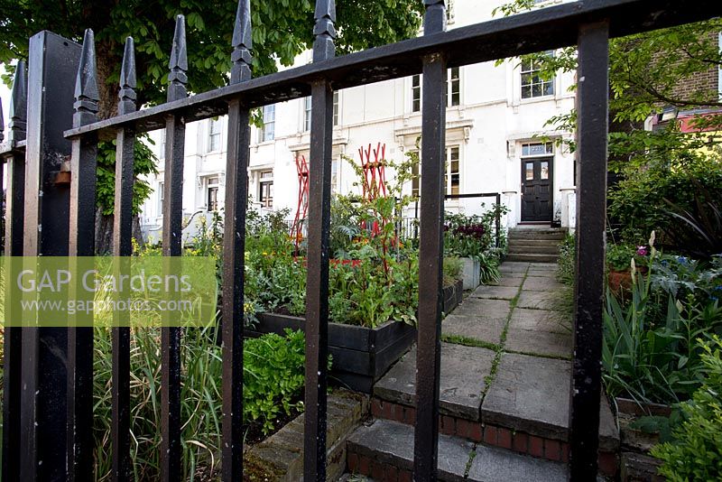 Jardin avant avec clôture de garde-corps en fer d'origine, avec détails de bordures végétales surélevées, Brixton